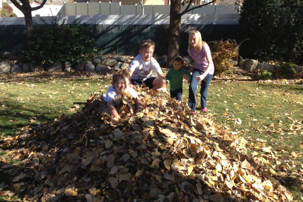 Yard Work, YUCK: Gratitude = Non-Attachment